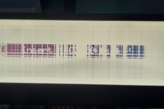 20250906_134016